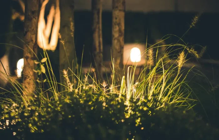 Qué iluminación escoger para el jardín