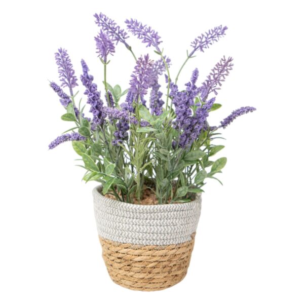 Planta Decorativa Romimex Plástico Lavanda 15 x 38 x 15 cm. Principal.